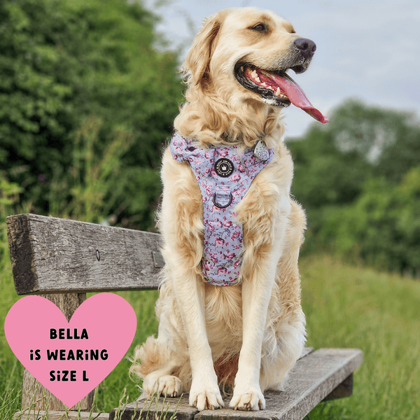 Trail & Glow® Dog Harness - Peony Blossom - alternate view