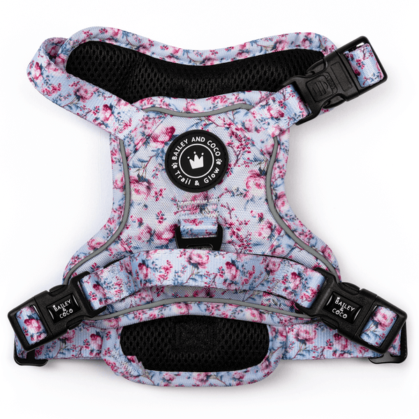 Trail & Glow® Dog Harness - Peony Blossom - Bailey and Coco (UK)