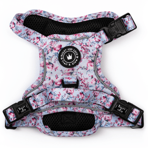 Trail & Glow® Dog Harness - Peony Blossom - Bailey and Coco (UK)