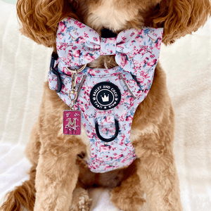perfect fit harness cockapoo