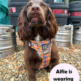 Trail & Glow® Dog Harness Premium No - Pull Design - Rustic Tartan - Bailey and Coco (UK)