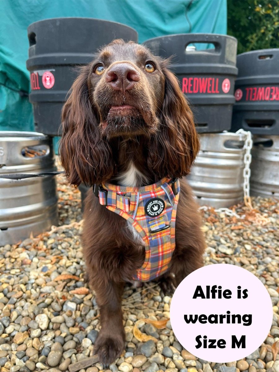 Trail & Glow® Dog Harness Premium No - Pull Design - Rustic Tartan - Bailey and Coco (UK)