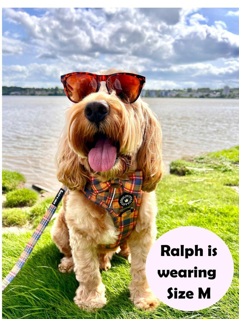 perfect fit harness cockapoo