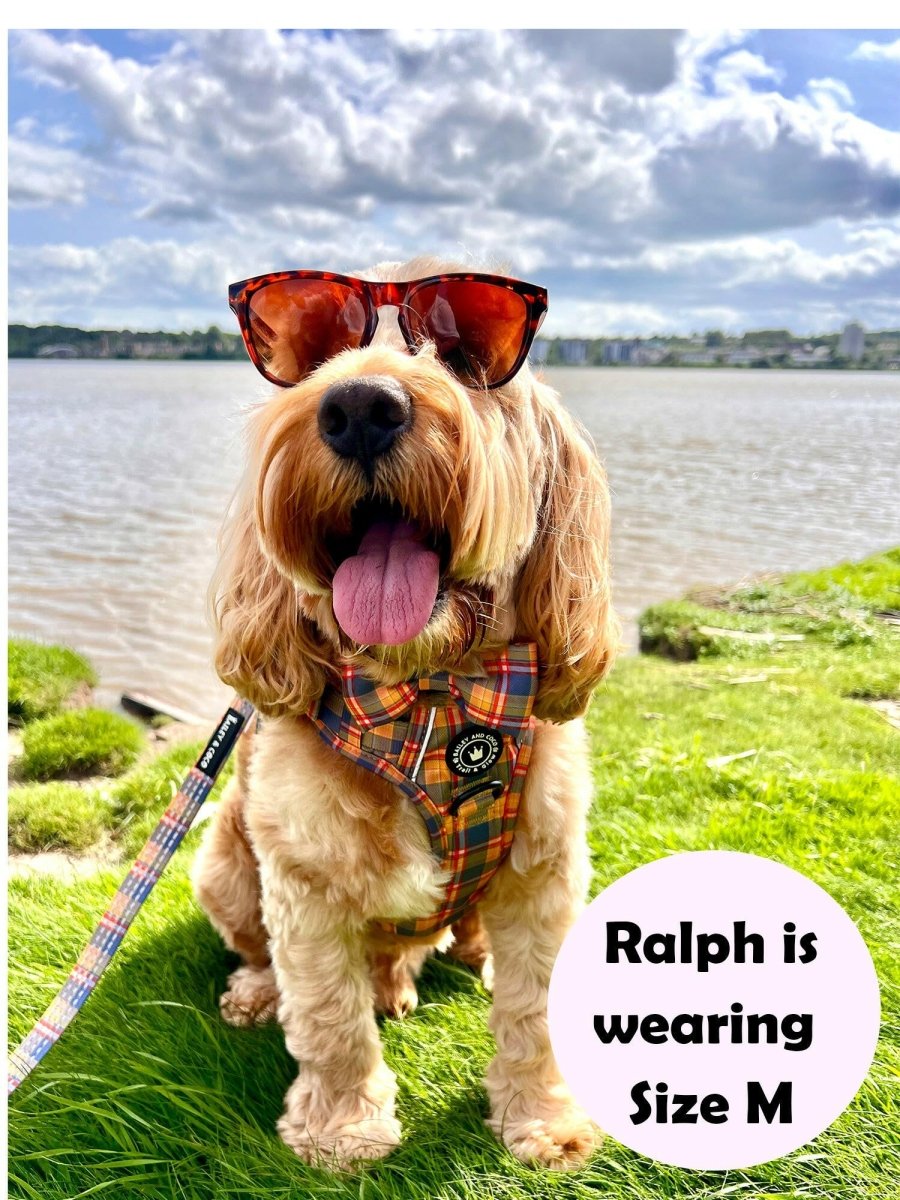 perfect fit harness cockapoo