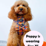 best dog harness for a cockapoo