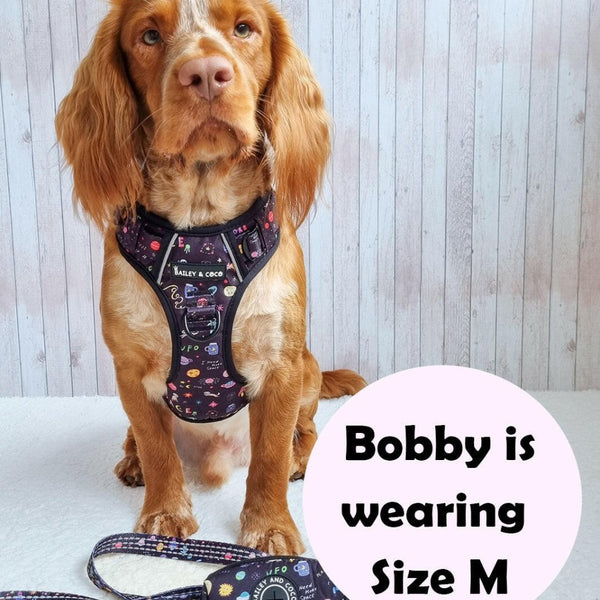 Trail & Glow® Dog Harness - Space Paws - alternate view