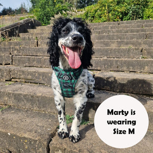 dog harness for sprocker spaniel