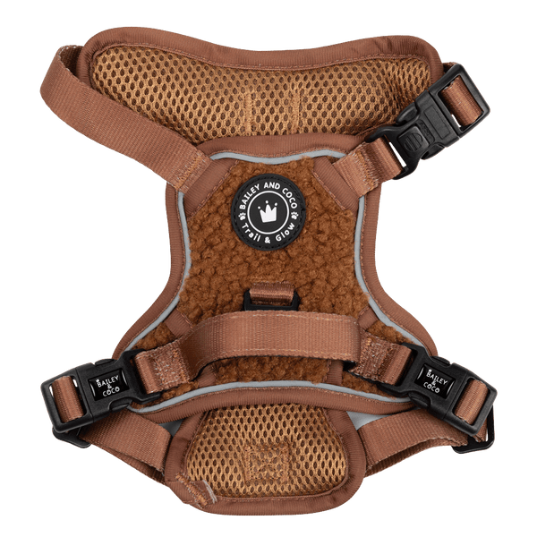 Trail & Glow® Dog Harness - Teddy Bear - Bailey and Coco (UK)