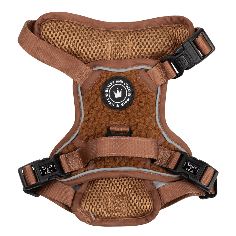 Trail & Glow® Dog Harness - Teddy Bear - Bailey and Coco (UK)