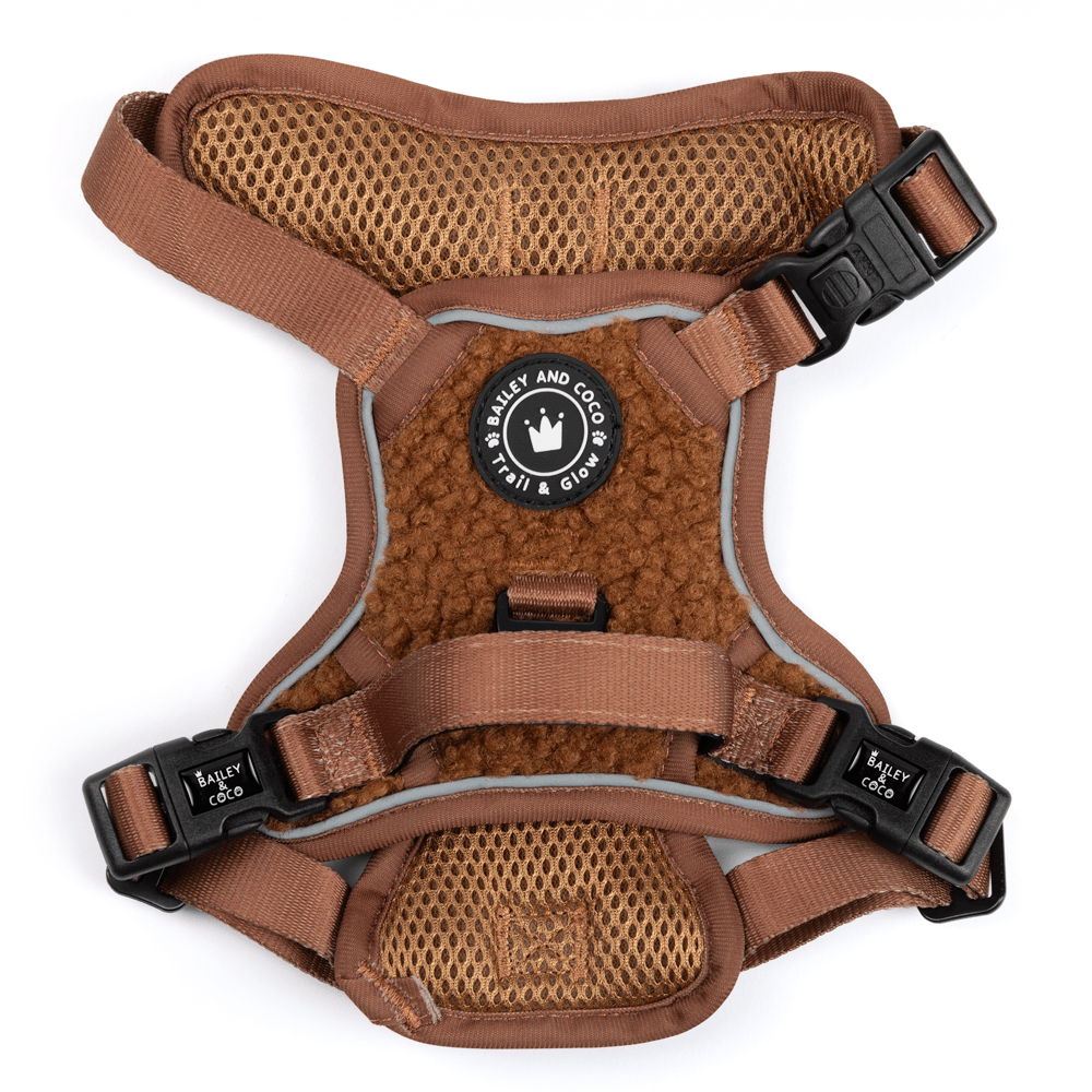 Trail & Glow® Dog Harness - Teddy Bear - Bailey and Coco (UK)