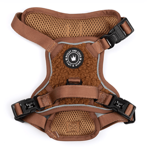 Trail & Glow® Dog Harness - Teddy Bear - Bailey and Coco (UK)
