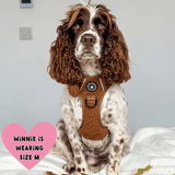 best dog harness for cocker spaniel
