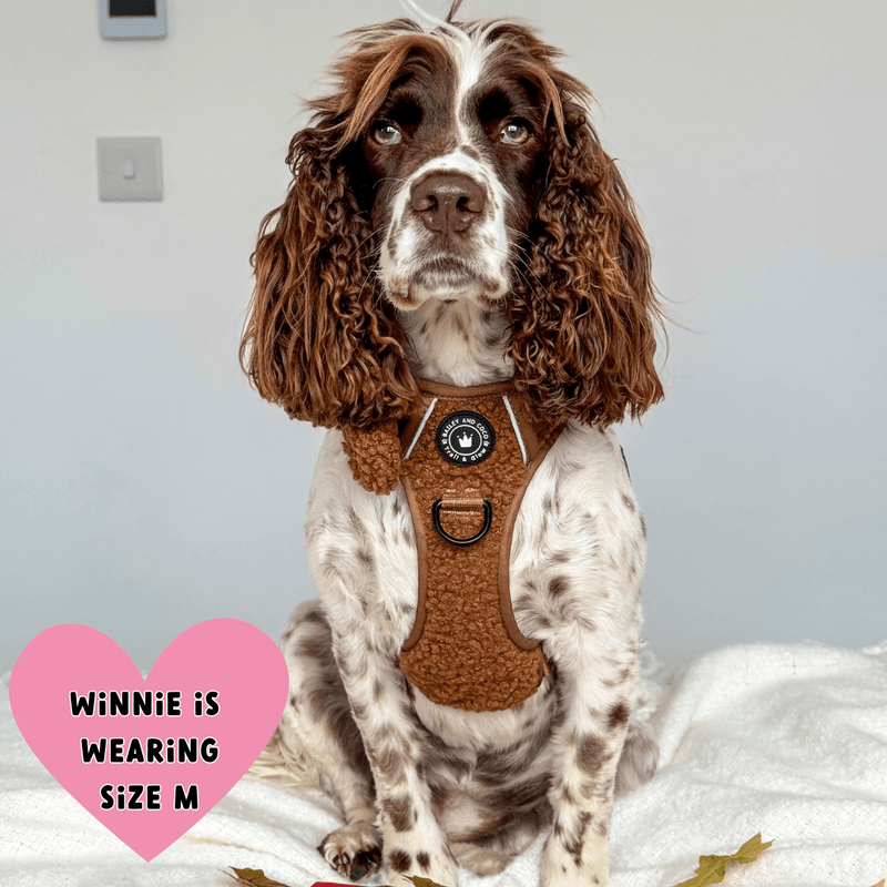 best dog harness for cocker spaniel