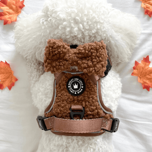 maltichon harness