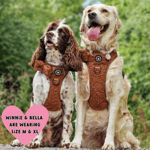 harness for golden retriever