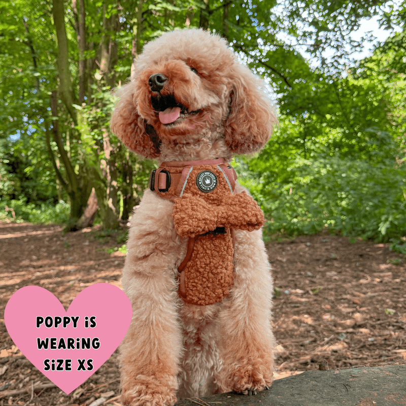 dog harness for cockapoo uk