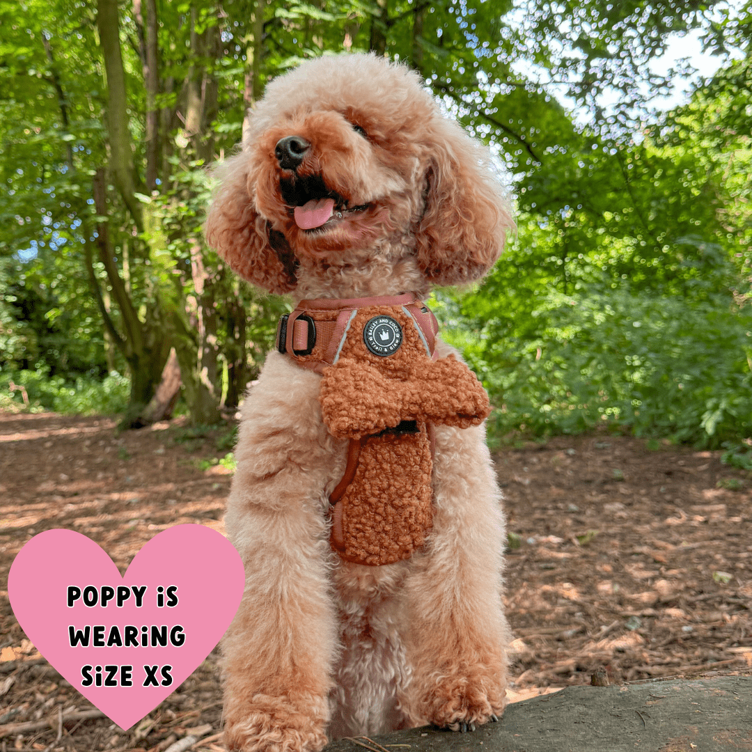 dog harness for cockapoo uk