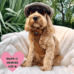 cockapoo dog harness