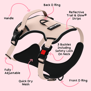 Trail & Glow® Dog Harness - The Champagne One - Bailey and Coco (UK)