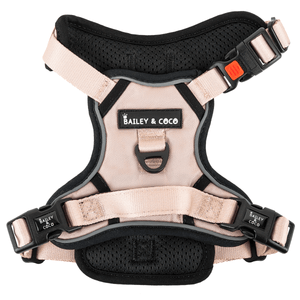 Trail & Glow® Dog Harness - The Champagne One - Bailey and Coco (UK)