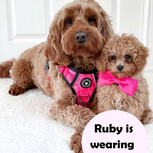 Trail & Glow® Dog Harness - The Hot Pink One - alternate view
