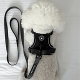 Trail & Glow® Dog Harness - The Jet Black One - Bailey and Coco (UK)