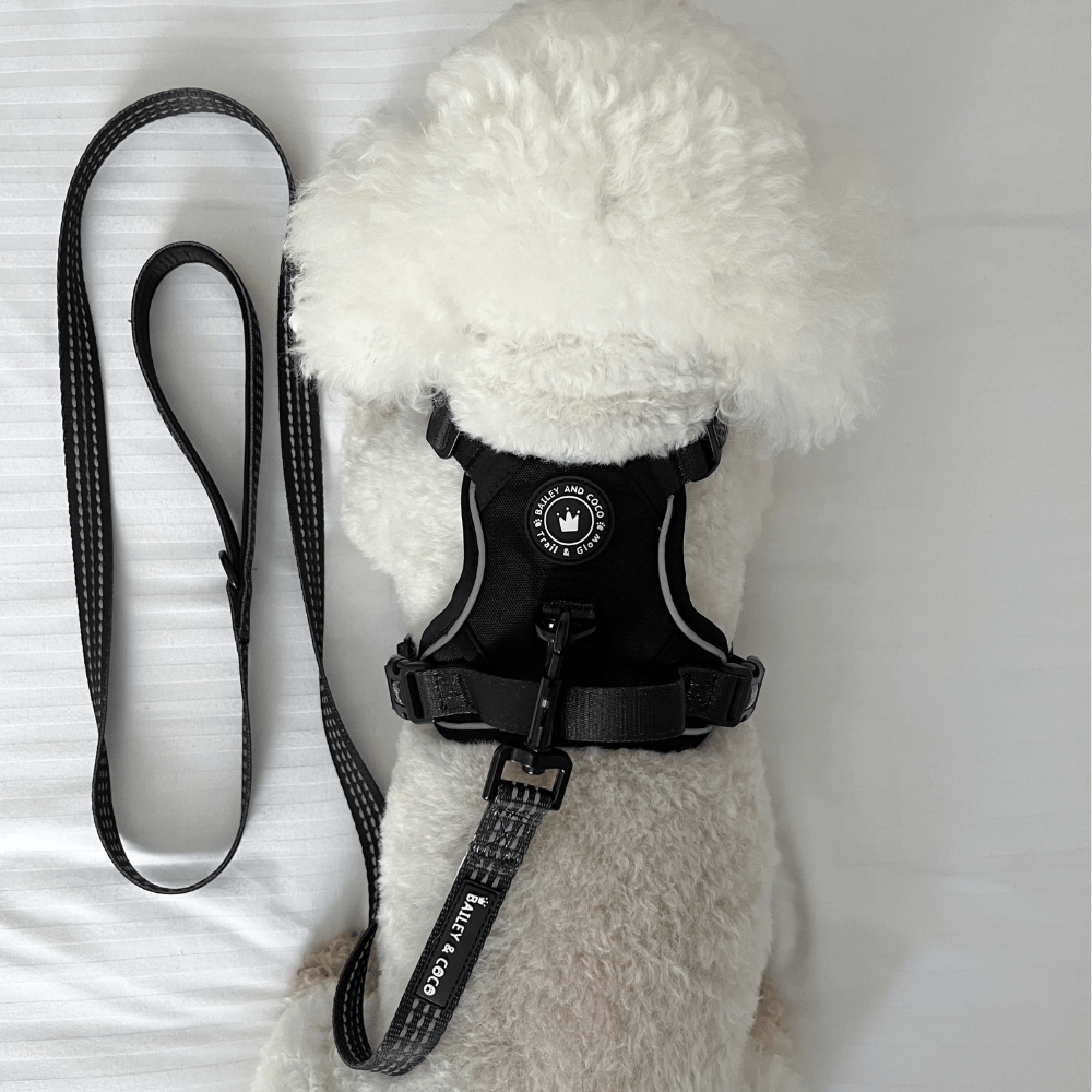 Trail & Glow® Dog Harness - The Jet Black One - Bailey and Coco (UK)