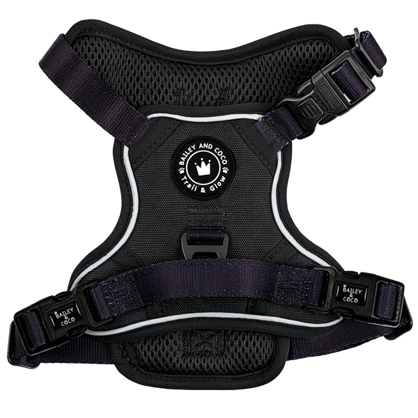 Trail & Glow® Dog Harness - The Jet Black One - Bailey and Coco (UK)