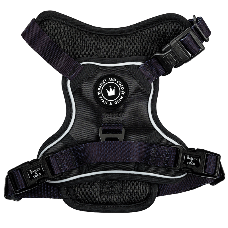 Trail & Glow® Dog Harness - The Jet Black One - Bailey and Coco (UK)