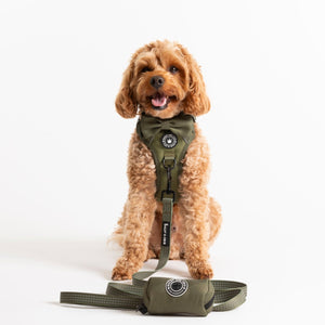 Trail & Glow® Dog Harness - The Khaki One - Bailey and Coco (UK)