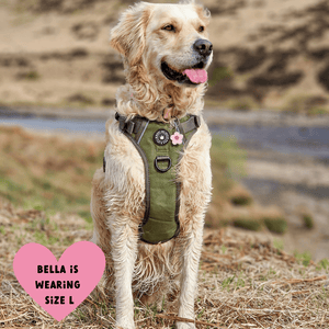 Trail & Glow® Dog Harness - The Khaki One - Bailey and Coco (UK)
