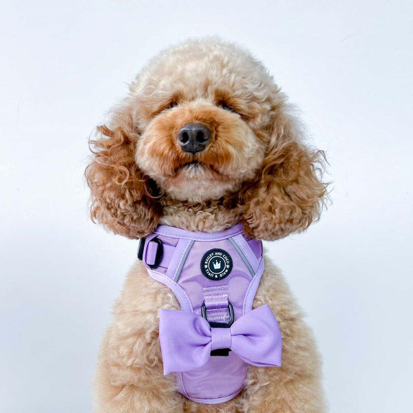 Trail & Glow® Dog Harness - The Lilac One - alternate view