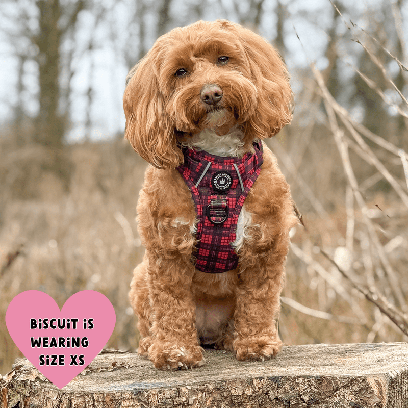 Trail & Glow® Dog Harness - The Red Tartan One - Bailey and Coco (UK)