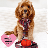 Trail & Glow® Dog Harness - The Red Tartan One - Bailey and Coco (UK)
