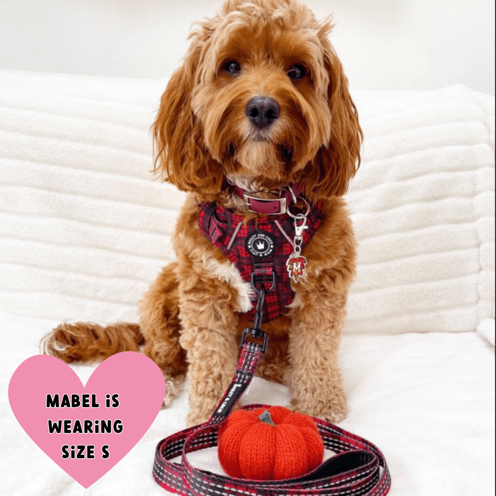 Trail & Glow® Dog Harness - The Red Tartan One - Bailey and Coco (UK)