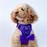 dog harness for cockapoo