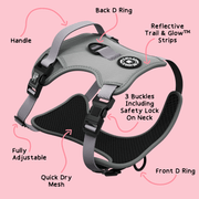 Trail & Glow® Dog Harness - The Silver Grey One - Bailey and Coco (UK)