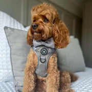 Trail & Glow® Dog Harness - The Silver Grey One - Bailey and Coco (UK)
