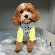 cavapoo harness