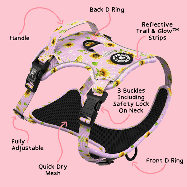 Trail & Glow® Dog Harness - Walking on Sunshine - alternate view