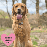 Trail & Glow® Dog Harness - Wanna - Bee - Bailey and Coco (UK)