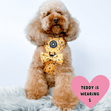 Trail & Glow® Dog Harness - Wanna - Bee - Bailey and Coco (UK)