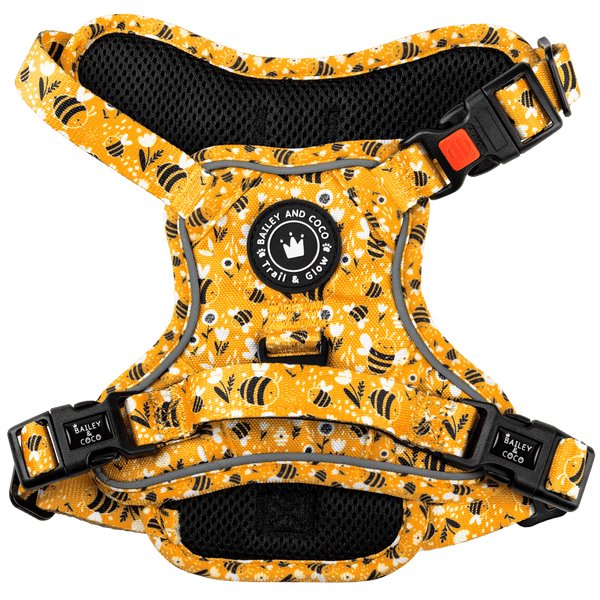 Trail & Glow® Dog Harness - Wanna - Bee - Bailey and Coco (UK)