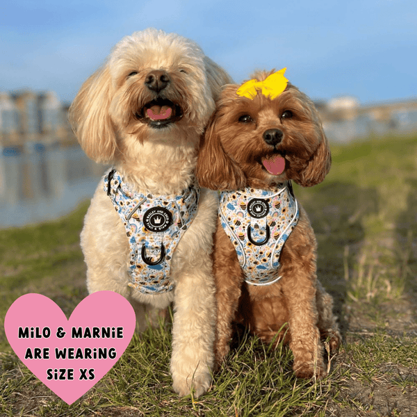 Trail & Glow® Dog Harness - Wanna-Bee II - alternate view