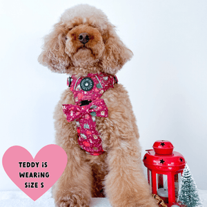 Trail & Glow® Dog Harness - Winter Wonderland - Bailey and Coco (UK)