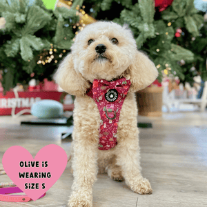 Trail & Glow® Dog Harness - Winter Wonderland - Bailey and Coco (UK)