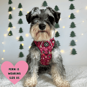 Trail & Glow® Dog Harness - Winter Wonderland - Bailey and Coco (UK)