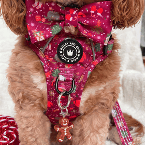 Trail & Glow® Dog Harness - Winter Wonderland - Bailey and Coco (UK)