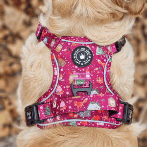 Trail & Glow® Dog Harness - Winter Wonderland - Bailey and Coco (UK)