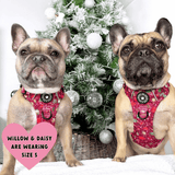 Trail & Glow® Dog Harness - Winter Wonderland - Bailey and Coco (UK)